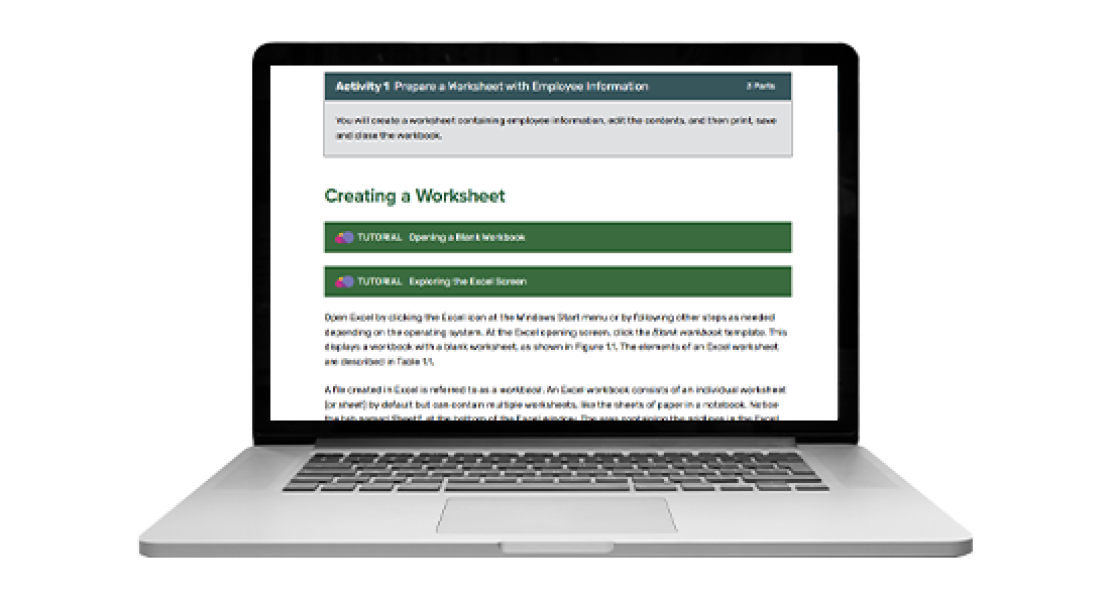 Image of the courseware for Benchmark Series: Microsoft 365 Excel